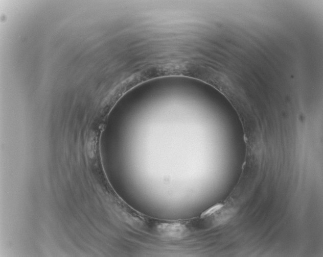 X0000055990133200508261734