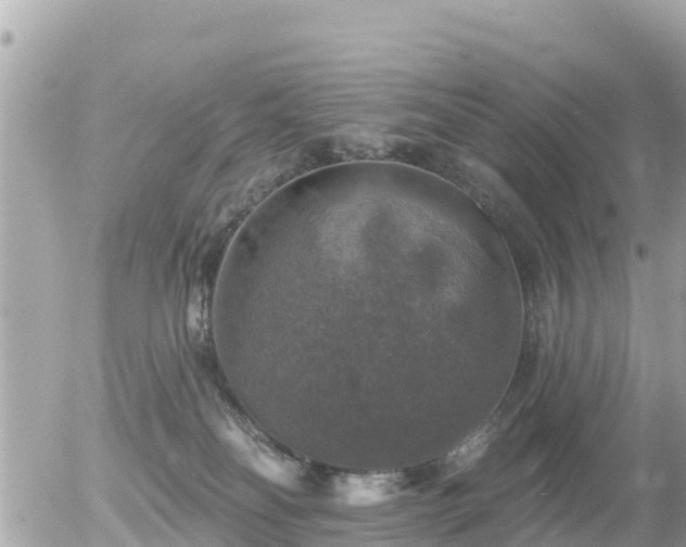 X0000055990134200508261734