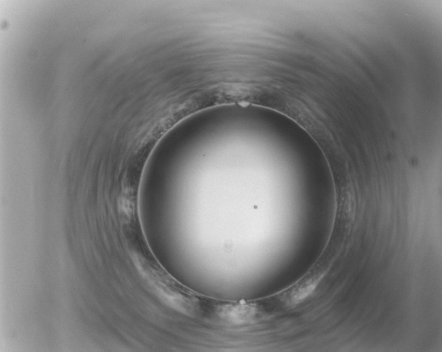 X0000055990135200508261734