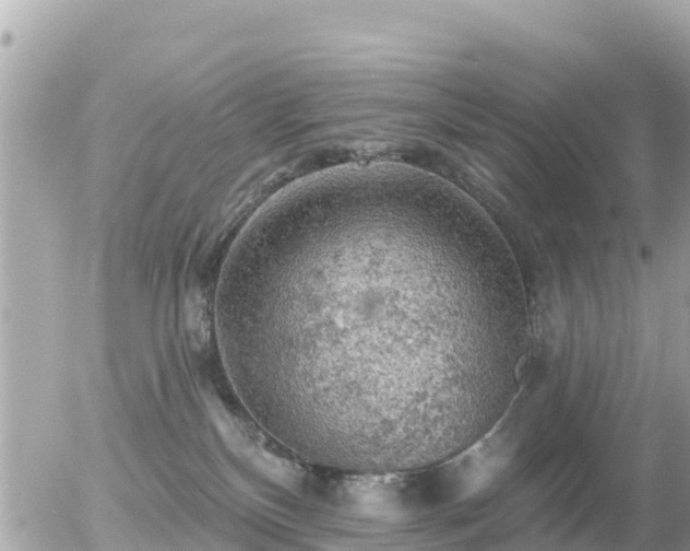 X0000055990136200508261734