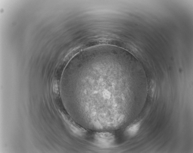 X0000055990137200508261734