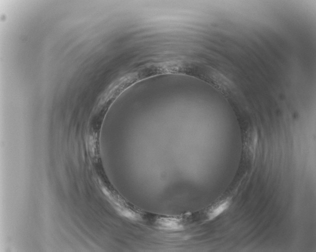 X0000055990139200508261734