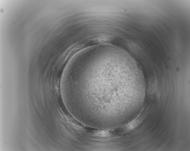 X0000055990140200508261734