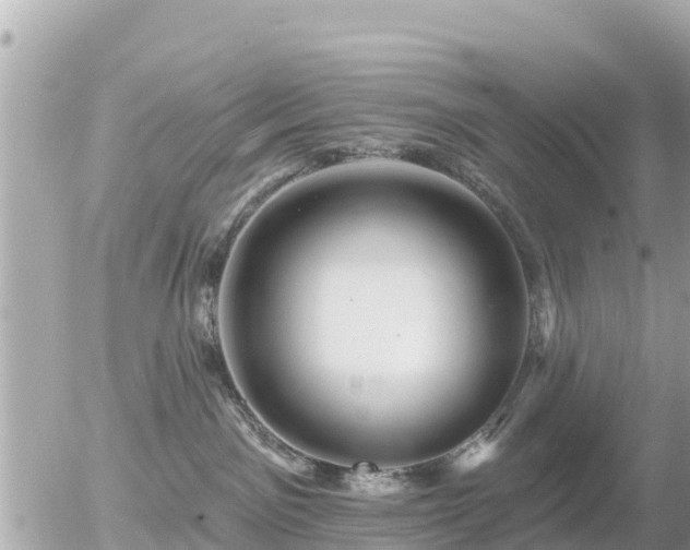 X0000055990141200508261734