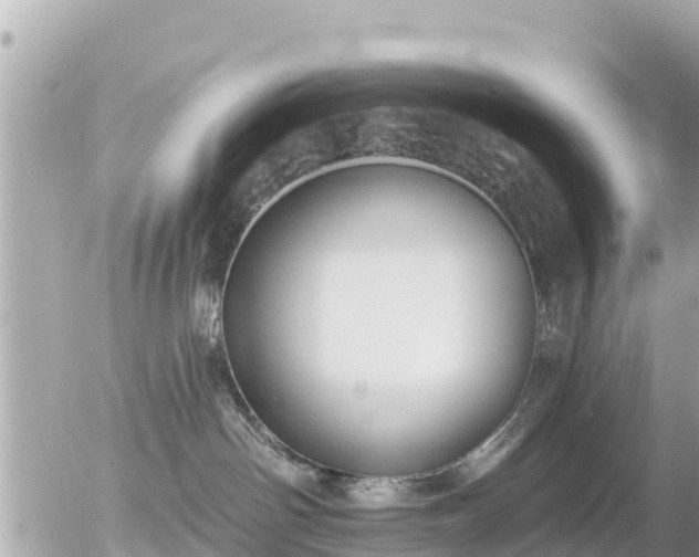 X0000055990142200508261734