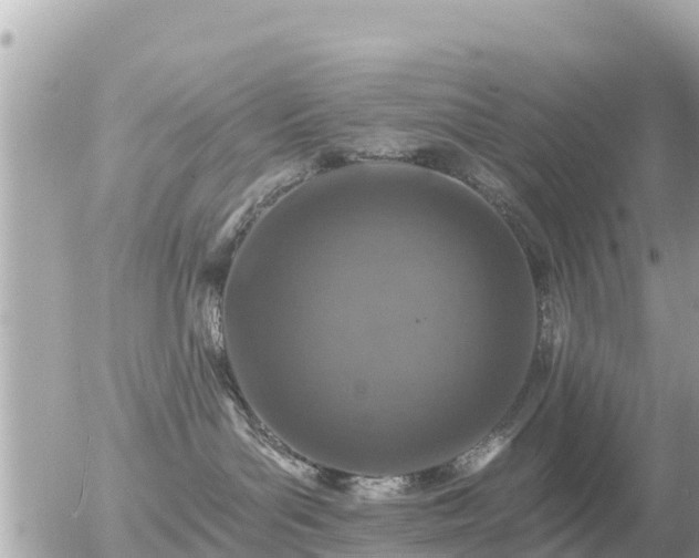 X0000055990143200508261734