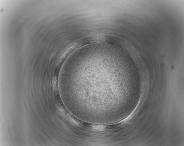 X0000055990144200508261734