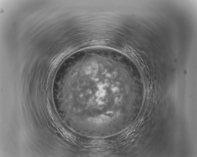 X0000055990145200508261733