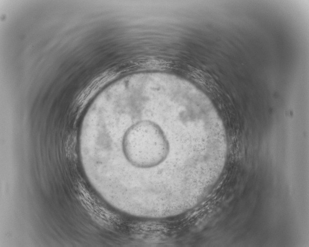 X0000055990146200508261733