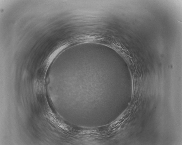 X0000055990147200508261733