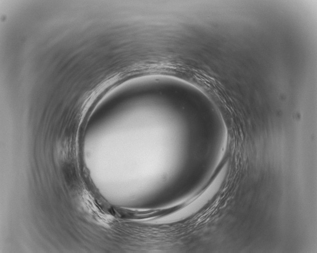 X0000055990148200508261733