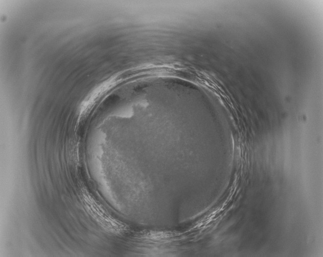 X0000055990149200508261733