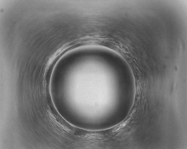 X0000055990150200508261733