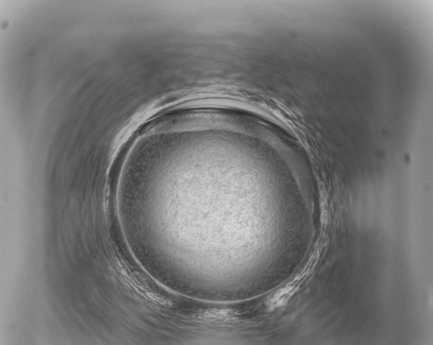 X0000055990152200508261733