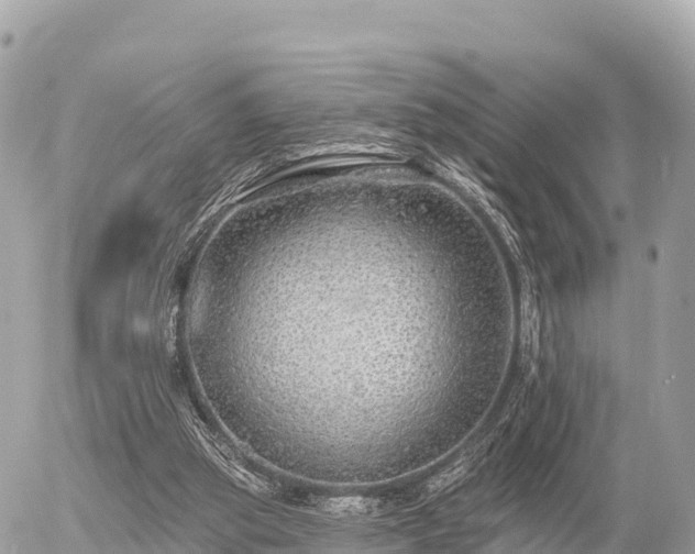 X0000055990153200508261733