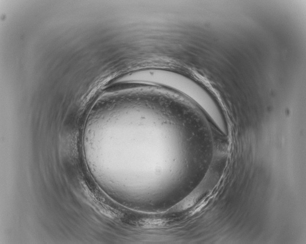 X0000055990154200508261733