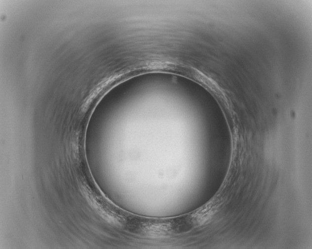 X0000055990155200508261733