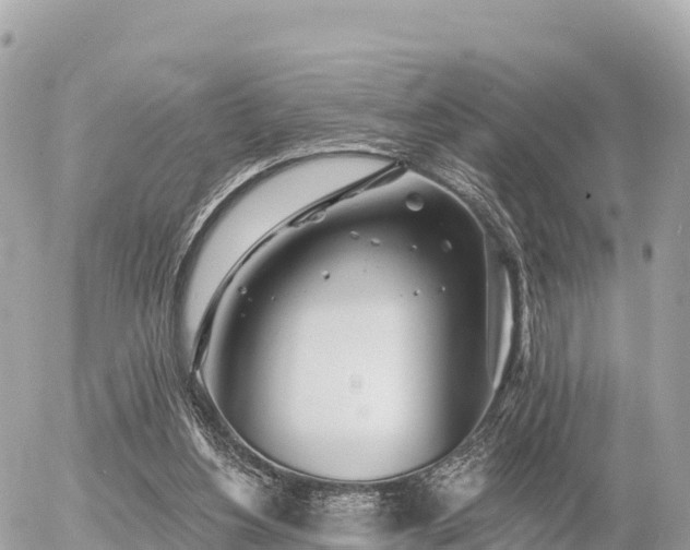 X0000055990156200508261733