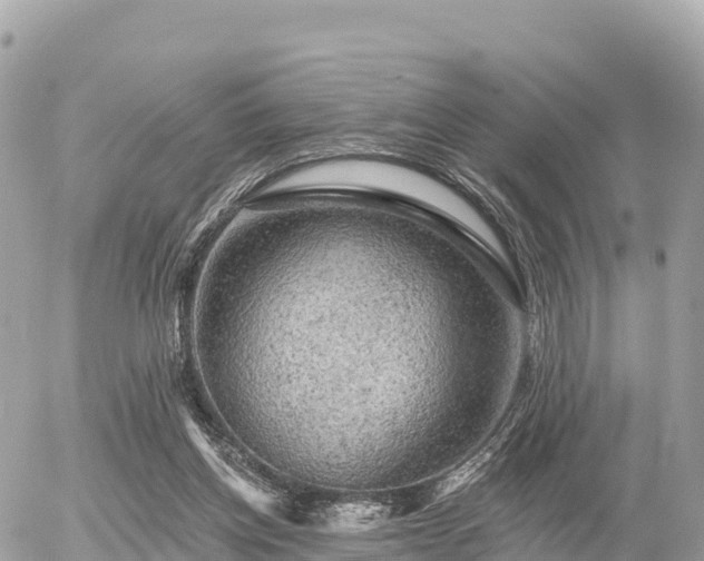 X0000055990158200508261733