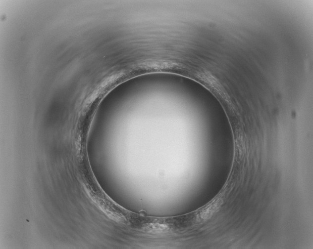 X0000055990159200508261733