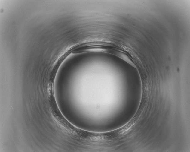 X0000055990160200508261733