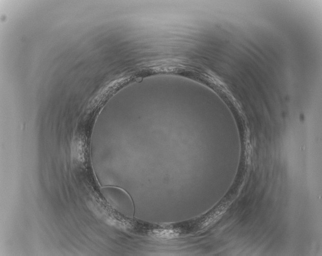 X0000055990161200508261733