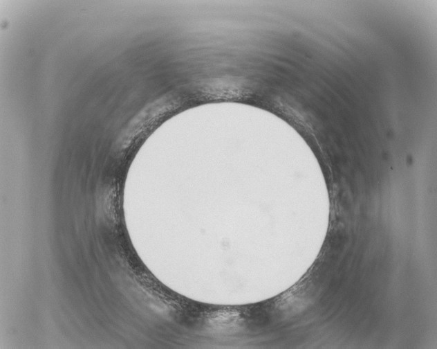 X0000055990162200508261733