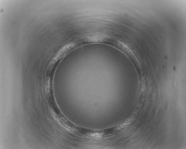 X0000055990163200508261733