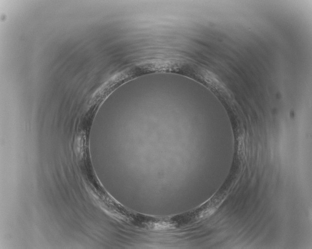 X0000055990165200508261733