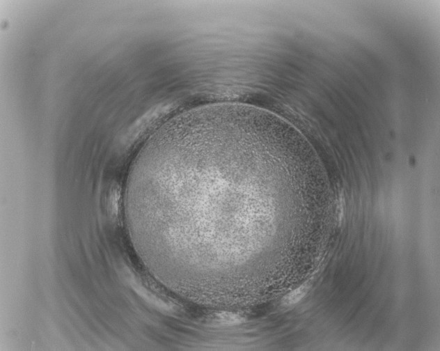 X0000055990166200508261733