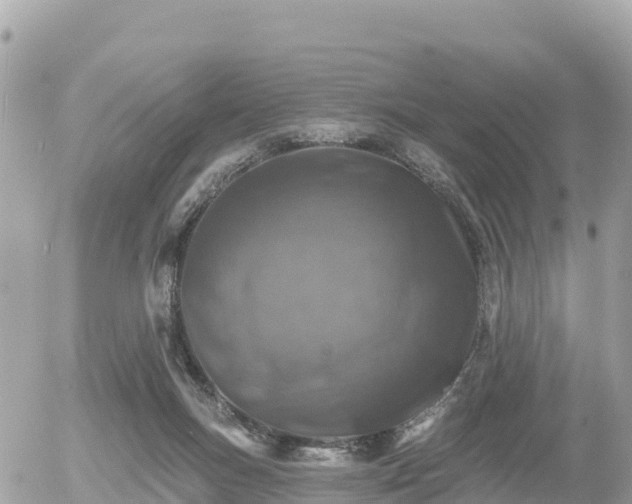 X0000055990167200508261733