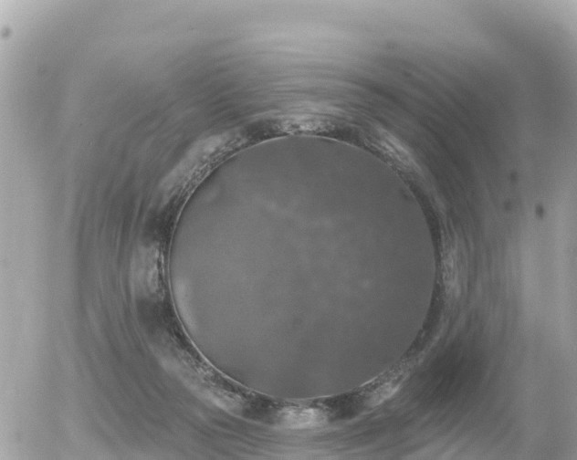 X0000055990169200508261733