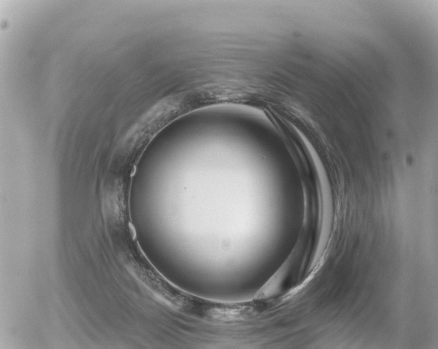 X0000055990170200508261733