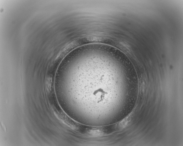 X0000055990171200508261733