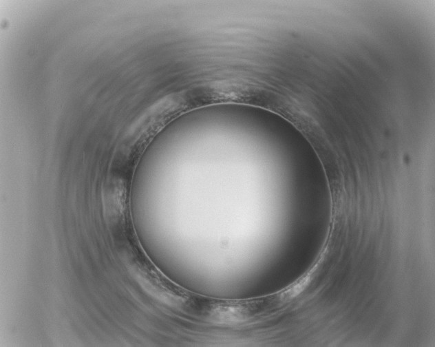 X0000055990174200508261733