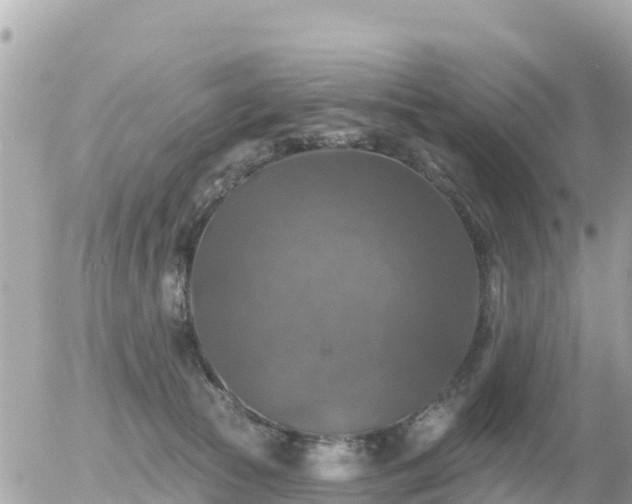 X0000055990177200508261733