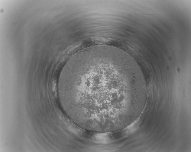 X0000055990178200508261733