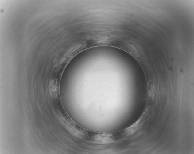 X0000055990179200508261733