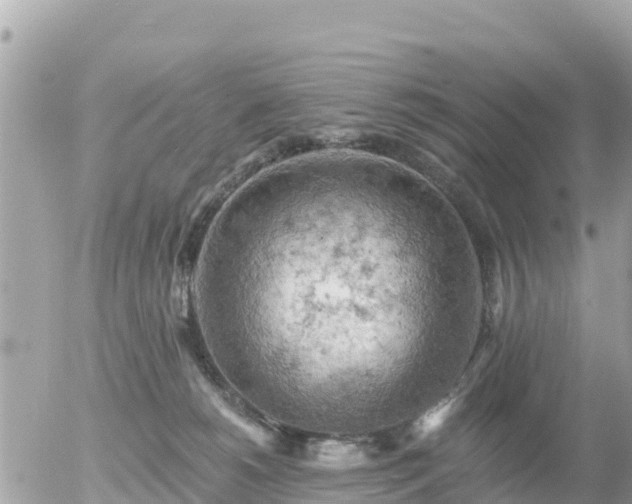 X0000055990180200508261733