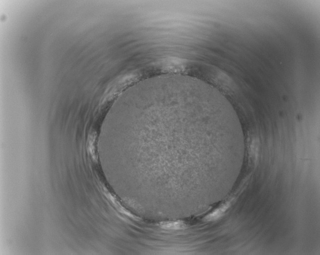 X0000055990185200508261733