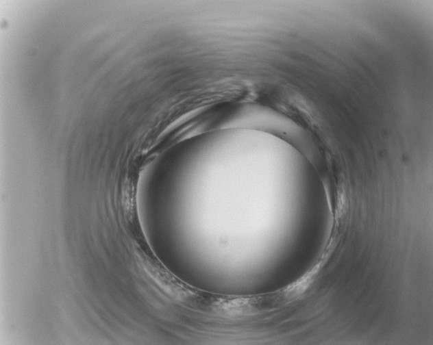 X0000055990186200508261733