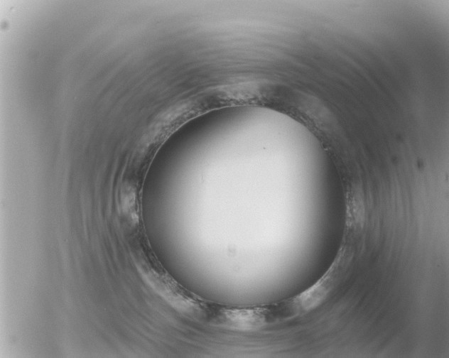 X0000055990187200508261734