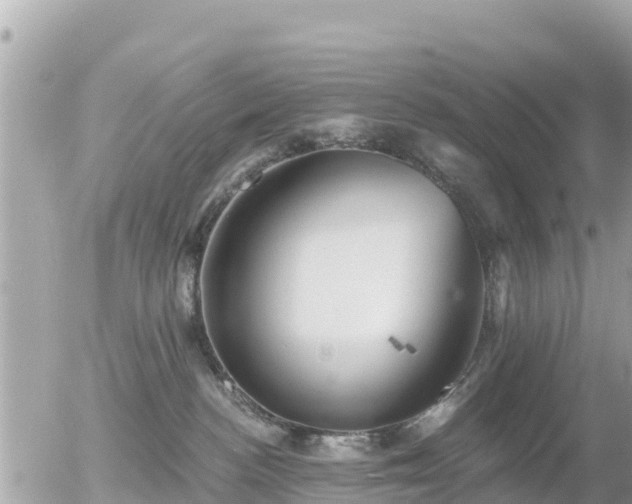 X0000055990188200508261734