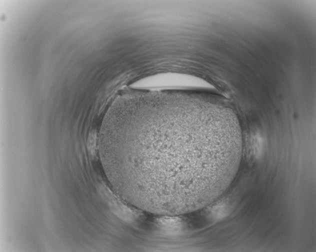 X0000055990189200508261734