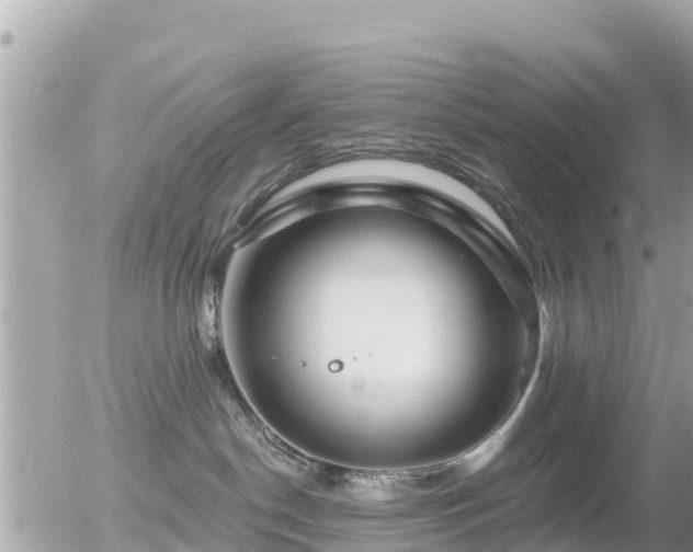 X0000055990190200508261734