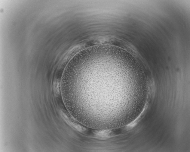 X0000055990191200508261734