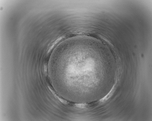 X0000055990192200508261734