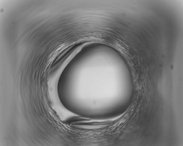 X0000055990193200508261733