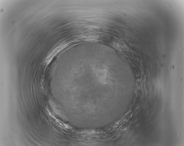 X0000055990194200508261733