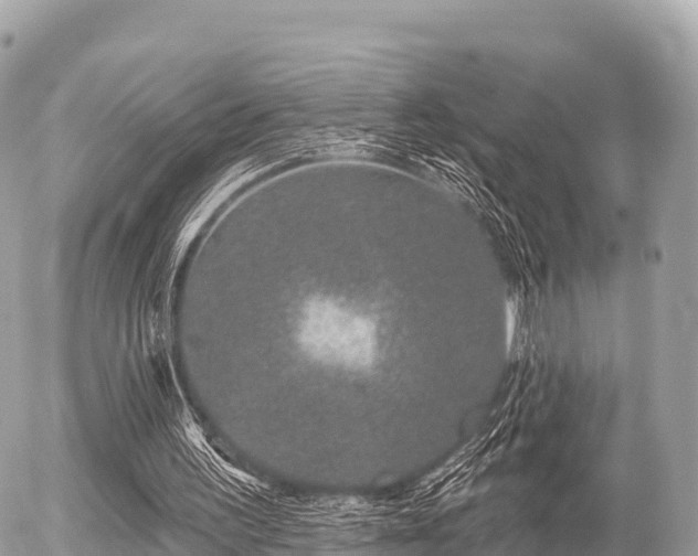 X0000055990195200508261733